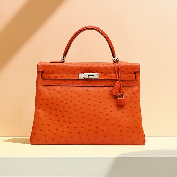 Designer Handbags & Fashion