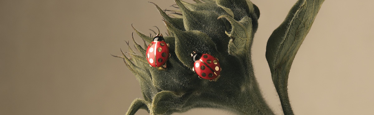 collection of boxed cartier necklaces
