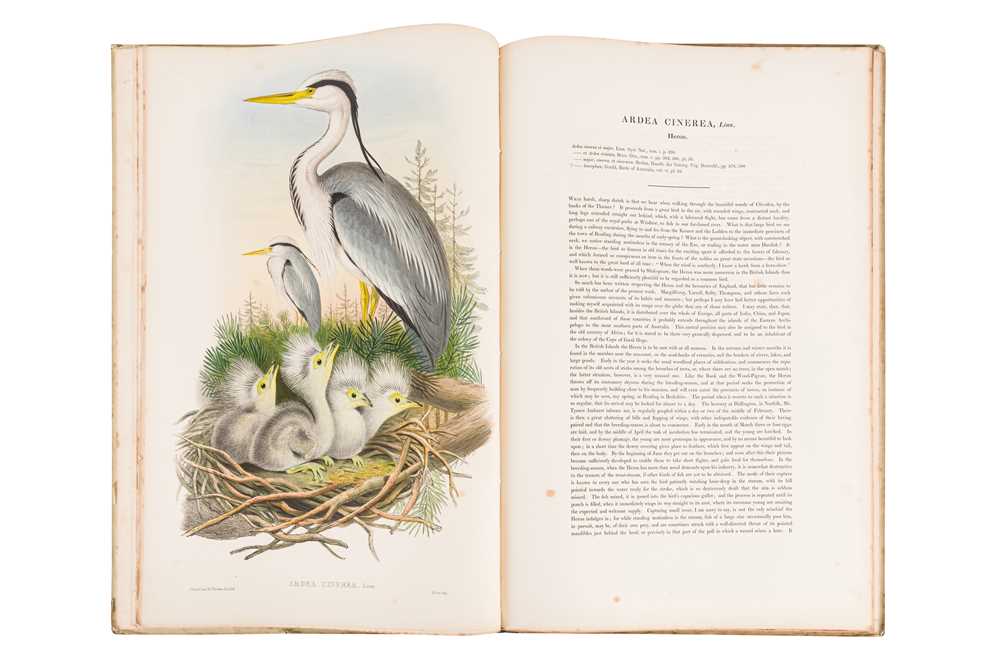 JOHN GOULD (BRITISH, 1804-1881)  The Birds of Great Britain.