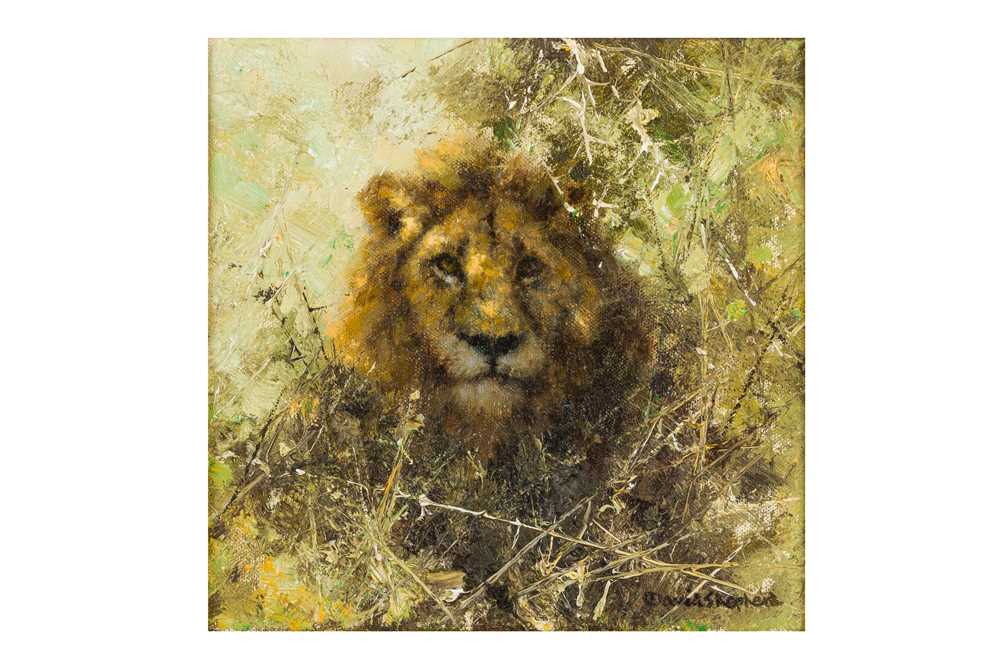 DAVID SHEPHERD, C.B.E. (BRITISH, 1931-2017) Lion