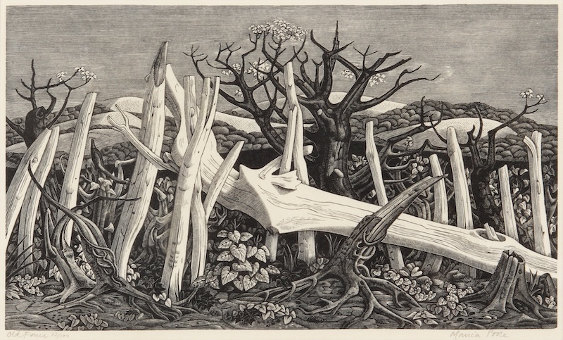 Monica Poole (British, 1921-2003) Old Fence