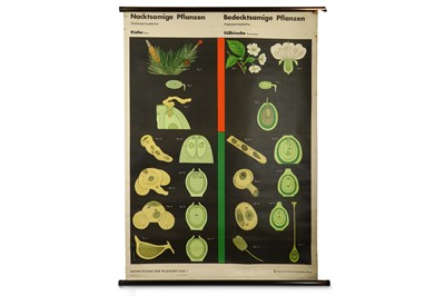 Lot 225 - A German 1970s anatomical wall chart, showing...