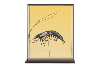Lot 710 - Harriet Horton (British)  'Taxidermy Prawn' ...