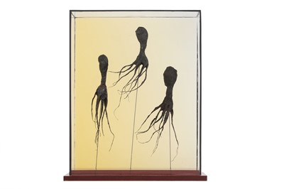 Lot 711 - Harriet Horton (British) 'Mummified...
