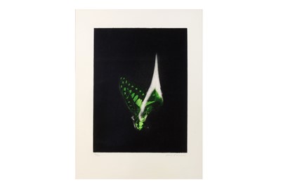 Lot 735 - Matt Collishaw (British) 'Burning Butterfly'...