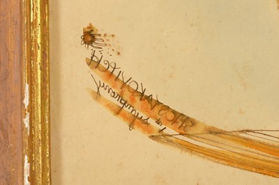 Lot 44 - PETER SAMUELSON (1912-1996) Shostakovitch 1st...