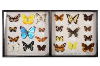 Lot 413 - The butterflies of America, a set of four...