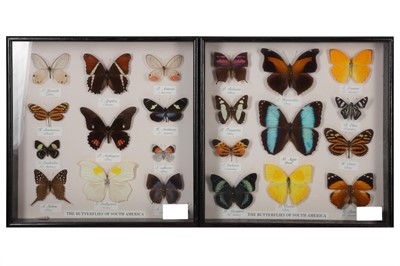 Lot 413 - The butterflies of America, a set of four...