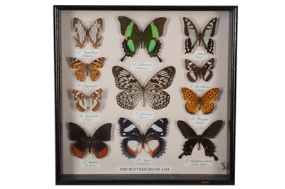 Lot 414 - A butterflies of Asia, a set of five framed...