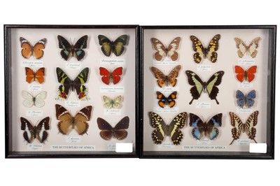 Lot 415 - A butterflies of Africa, two famed pictures...