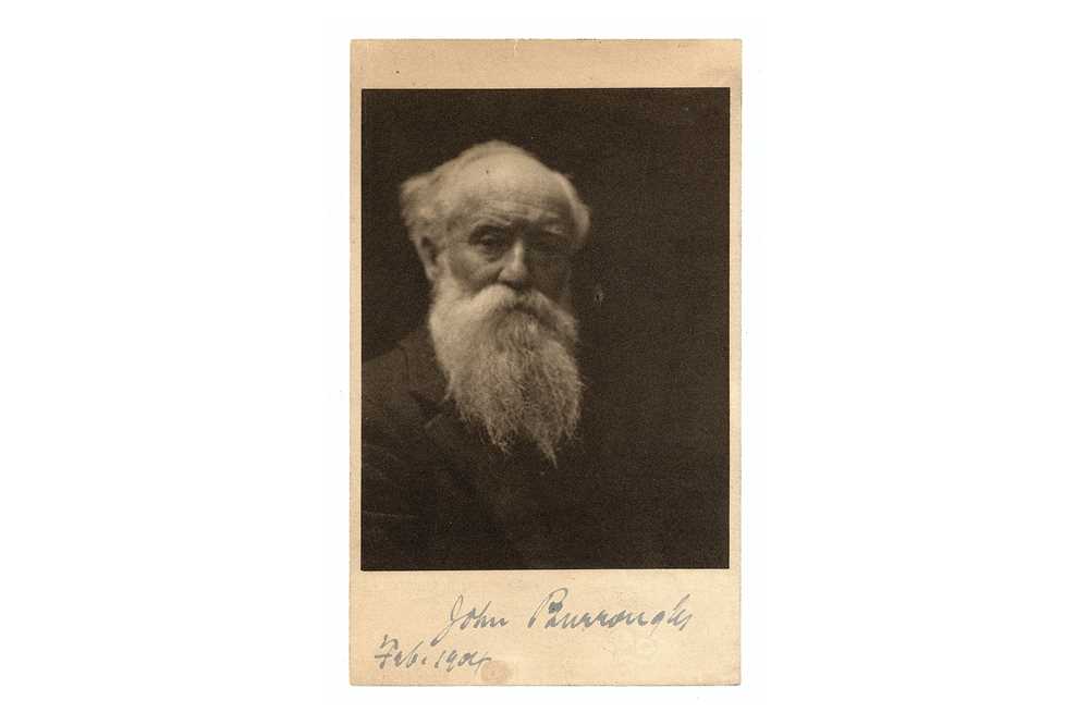 Lot 338 Burroughs (John) Head and shoulders