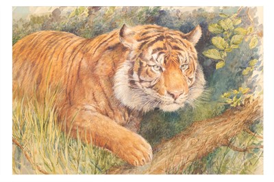 Lot 170 - HUGO UNGEWITTER (GERMAN 1869-1944) Tiger on...