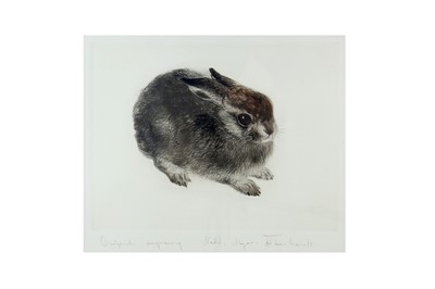Lot 307 - Meyer-Eberhardt (Kurt) Rabbit, plate 185 x...