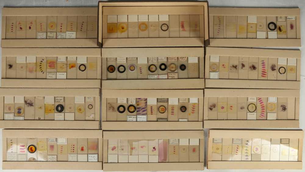 Lot 229 - A cased set of various microscopic slides...