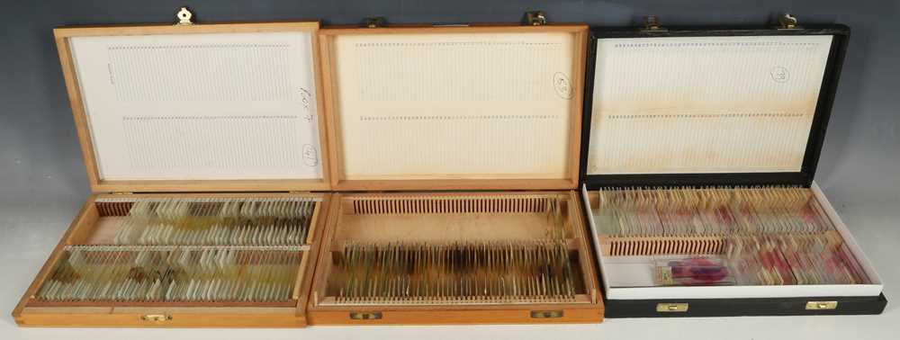 Lot 230 - Three boxes of microscope slides prepared by P....