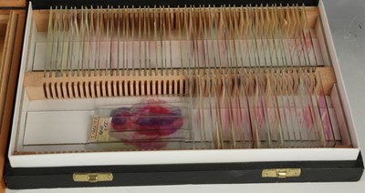 Lot 230 - Three boxes of microscope slides prepared by P....