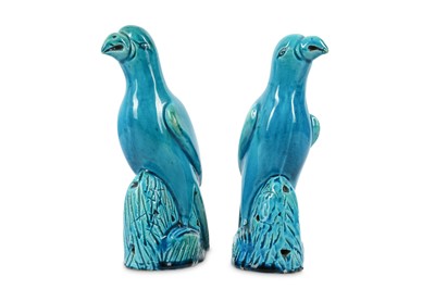 Lot 610 - A PAIR OF CHINESE TURQUOISE-GLAZED PARROTS....