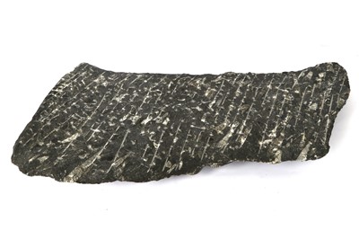 Lot 66 - Belemnite Fossil. 30...