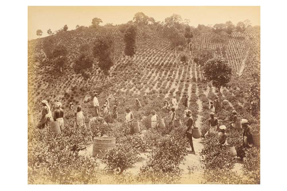 Lot 37 - Various Photographers c.1870-1890s CEYLON -...