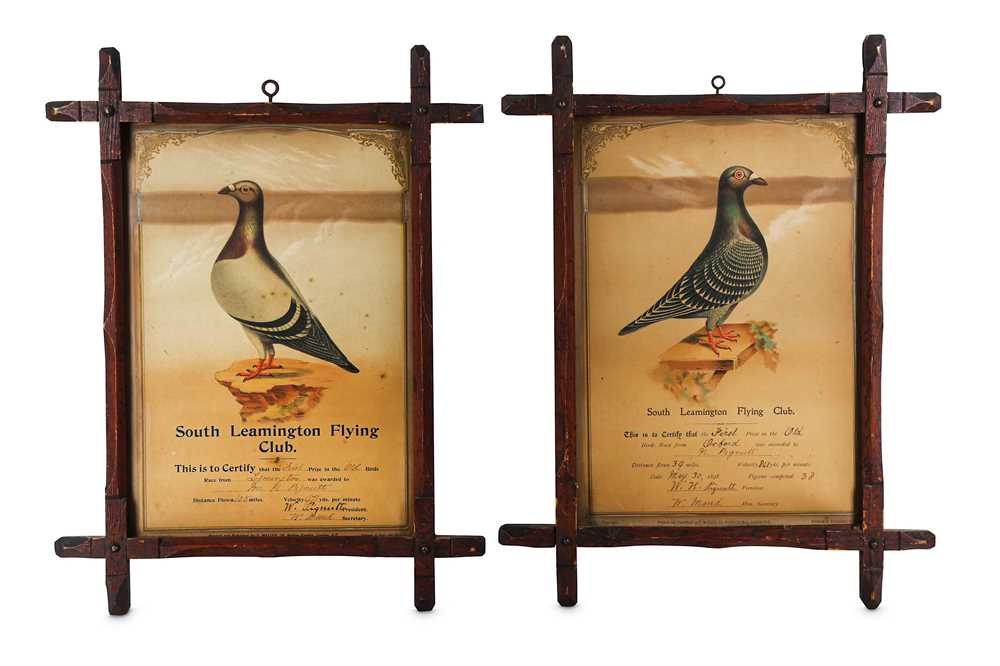 Lot 289 - A PAIR OF LATE 19TH CENTURY FRAMED PIGEON...