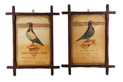 Lot 289 - A PAIR OF LATE 19TH CENTURY FRAMED PIGEON...