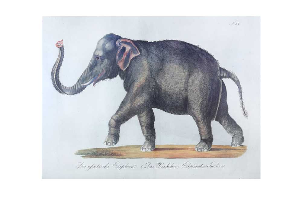 Lot 157 - Brodtmann (Carl Joseph) Six hand-coloured...