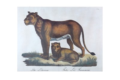 Lot 157 - Brodtmann (Carl Joseph) Six hand-coloured...