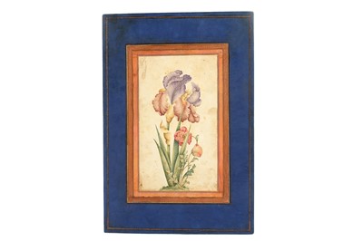 Lot 135 - AN ALBUM PAGE WITH A TINTED DRAWING OF AN IRIS AND POPPIES