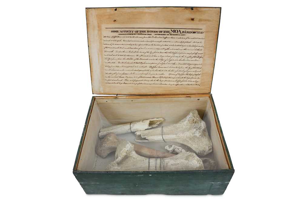 Lot 10 - A RARE SELECTION OF BONES FROM THE EXTINCT MOA...