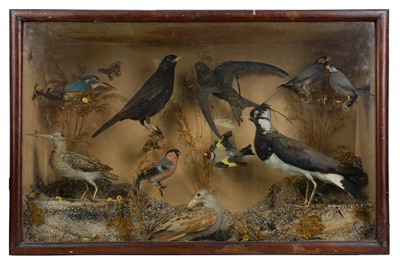 Lot 89 - TAXIDERMY: A LATE 19TH / EARLY 20TH CENTURY...