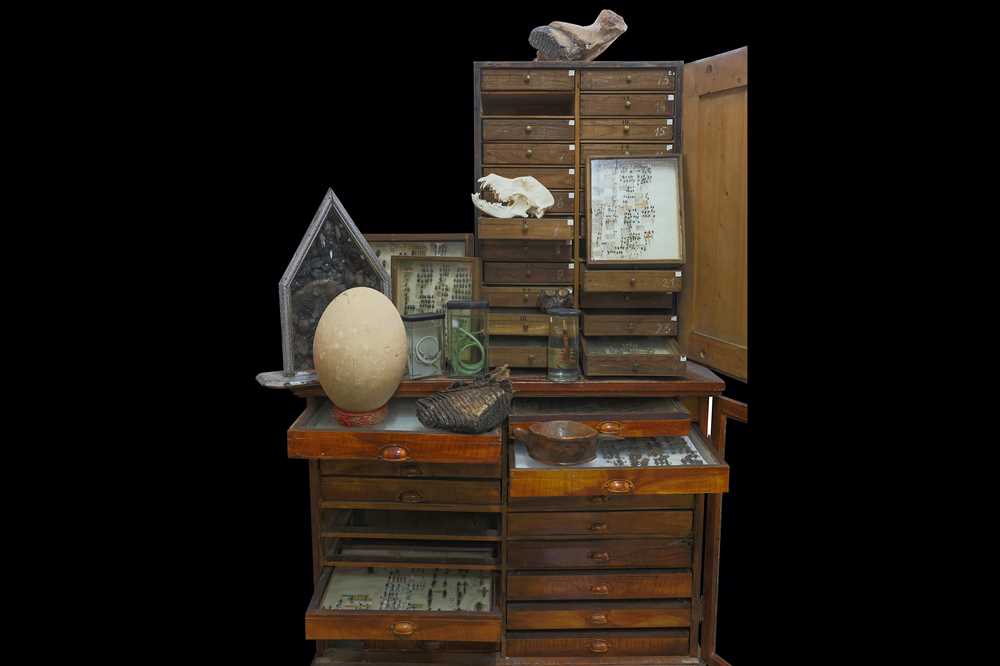 Lot 14 - TWO EARLY 20TH CENTURY ENGLISH STAINED WOOD...