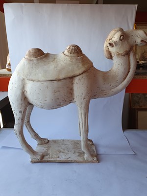 Lot 39 - A CHINESE POTTERY MODEL OF A BACTRIAN CAMEL.