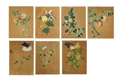 Lot 649 - A SET OF SEVEN CHINESE ‘FLOWERS AND INSECTS’...