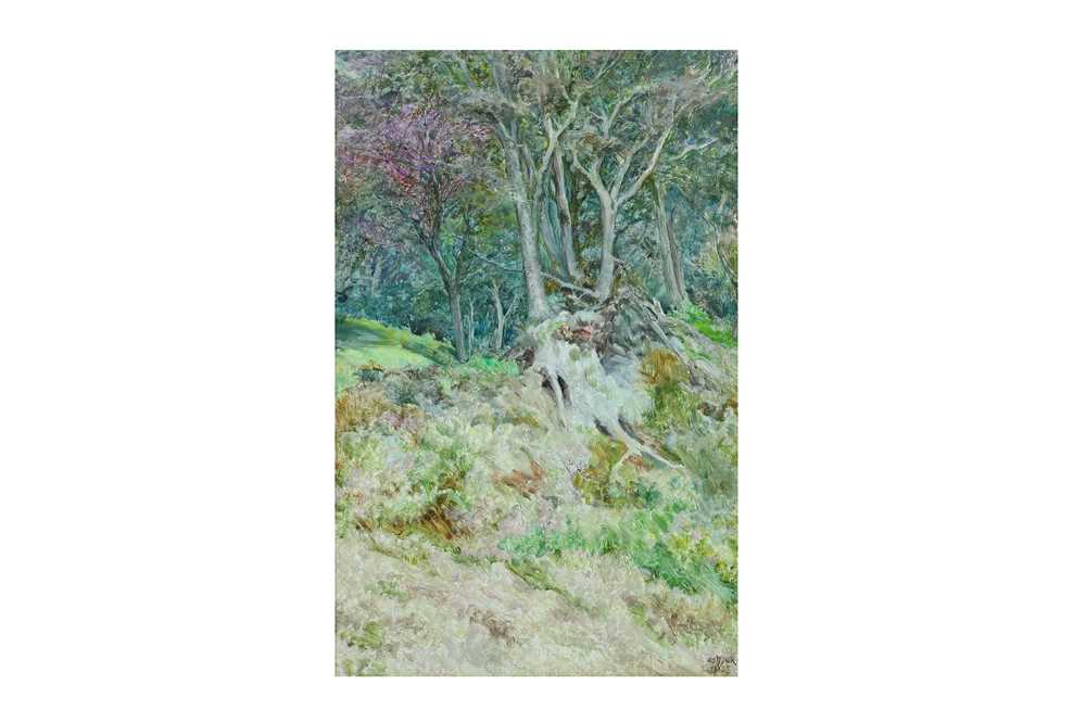 Lot 247 - EDWARD STEEL HARPER (BRITISH 1878-1951) Woods,...