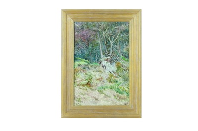 Lot 247 - EDWARD STEEL HARPER (BRITISH 1878-1951) Woods,...