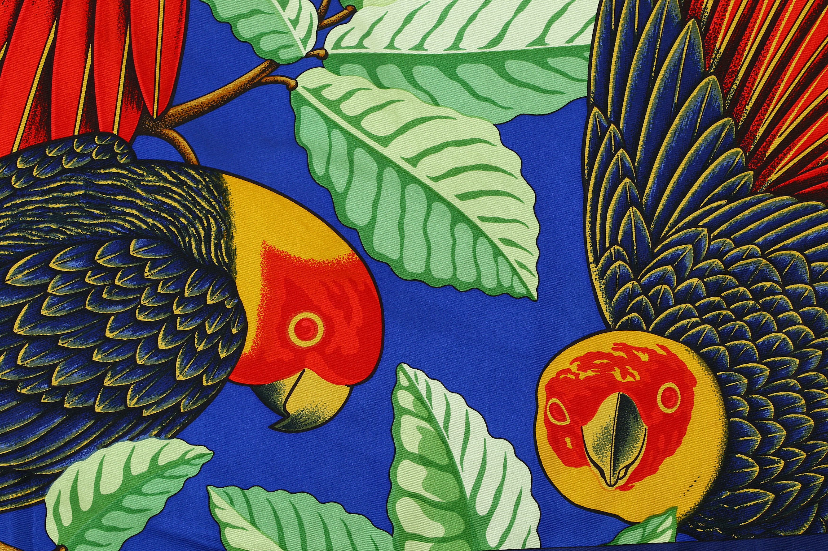 hermes parrot scarf