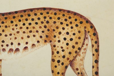 Lot 325 - A STUDY OF A CHEETAH AFTER THE IMPEY ALBUM