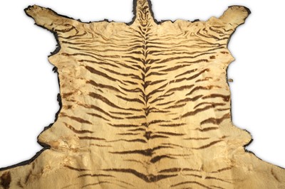 Lot 424 - Early 20th Century British Indian Taxidermy Bengal Tiger Skin, attributed to Van Ingen & Van Ingen
