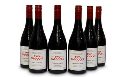 Lot 756 - Two paddock pinot noir central otago 2015
