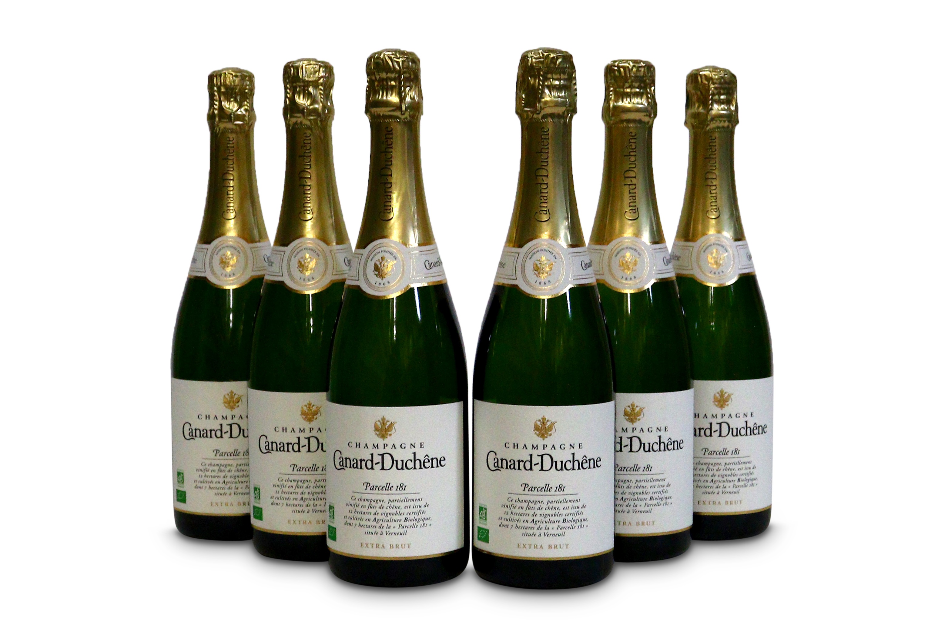 Lot 21 - Canard-Duchene Brut, Champagne