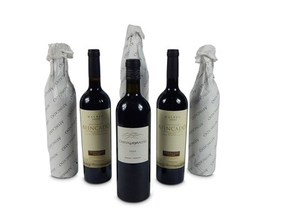 Lot 799 - Mixed wine of Terrazas de los Andes