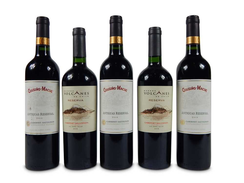 Lot 844 - A selection of Chilean Wines
