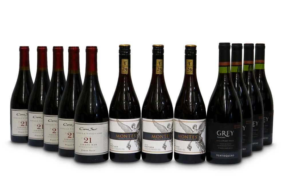Lot 840 - Assorted South American Pinot Noir