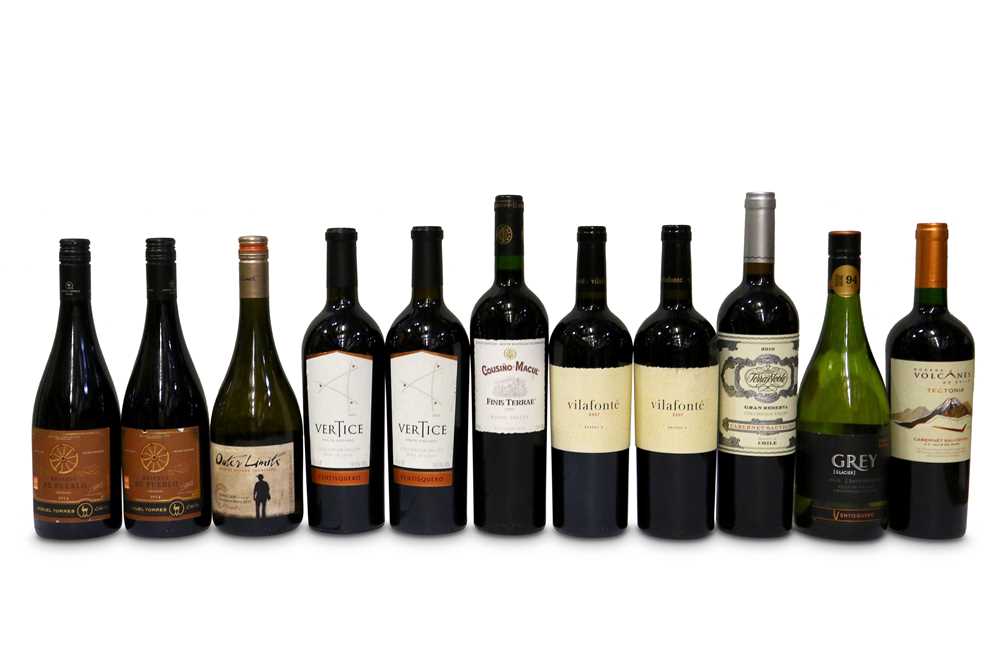 Lot 842 - Mixed Chilean Wines