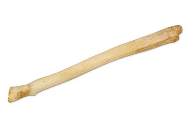 Lot 78A - A WALRUS BACULUM (PENILE BONE) / POSSIBLY AN INUIT OOSIK