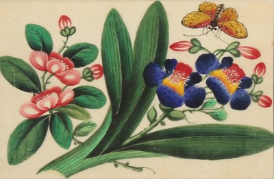 Lot 131 - A SET OF TWELVE CHINESE PITH PAPER PAINTINGS OF INSECTS AND FLOWERS.