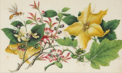Lot 131 - A SET OF TWELVE CHINESE PITH PAPER PAINTINGS OF INSECTS AND FLOWERS.
