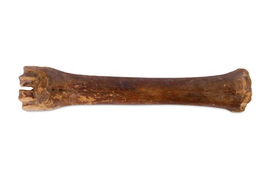 Lot 78 - A CANNON BONE FROM A GIANT IRISH ELK  (MEGALOCEROS GIGANTEUS)