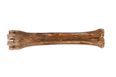 Lot 78 - A CANNON BONE FROM A GIANT IRISH ELK  (MEGALOCEROS GIGANTEUS)