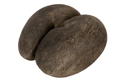 Lot 215 - A large Coco De Mer nut (Lodoicea Maldivica)